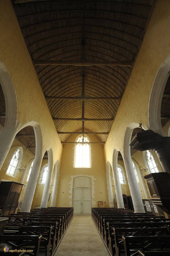 Nom de l'image : D30080466_1_(c)Norbert-JUNG — Description :